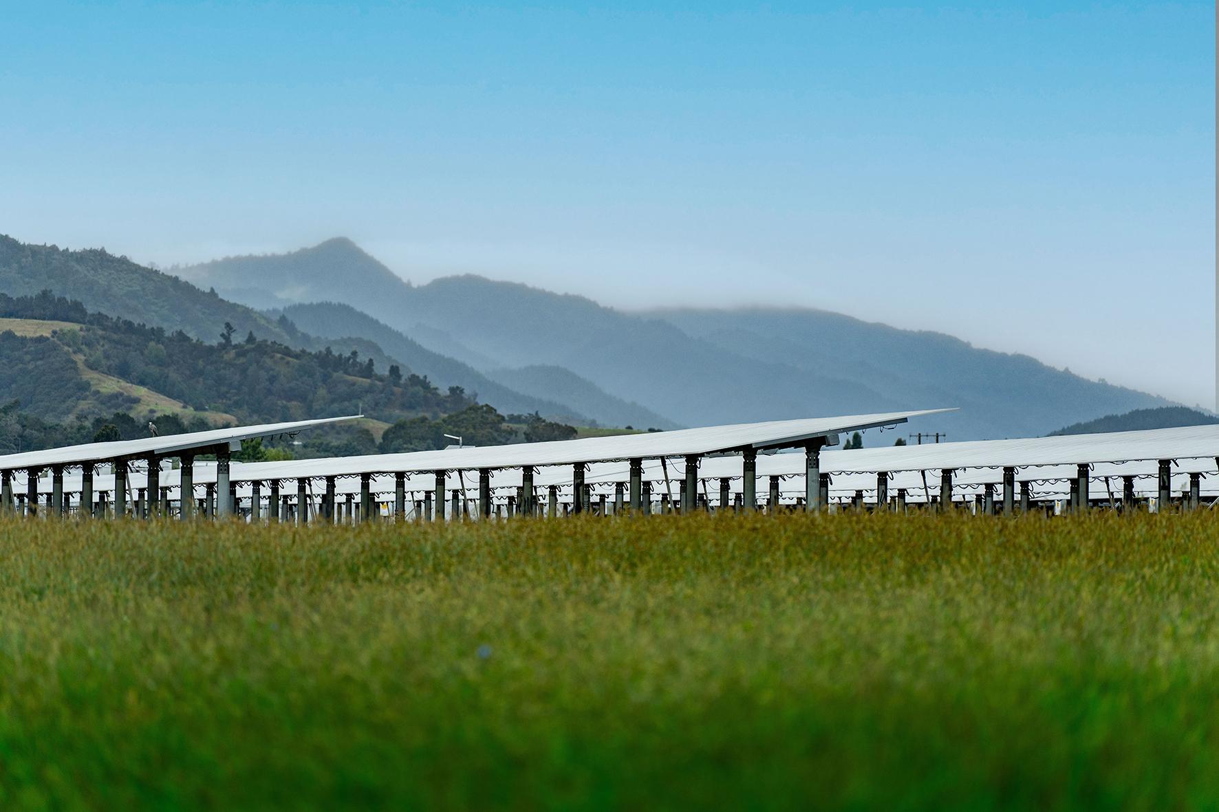 Bi-facial panels track the sun’s movements (image courtesy of Lodestone)